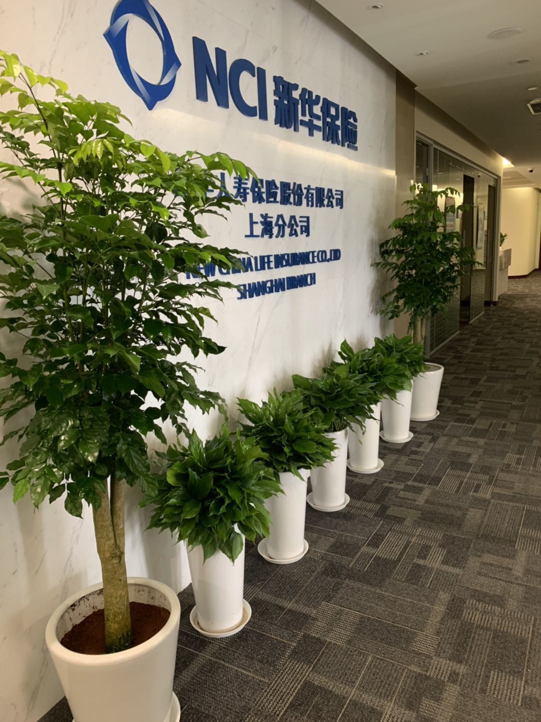 绿植组合3
