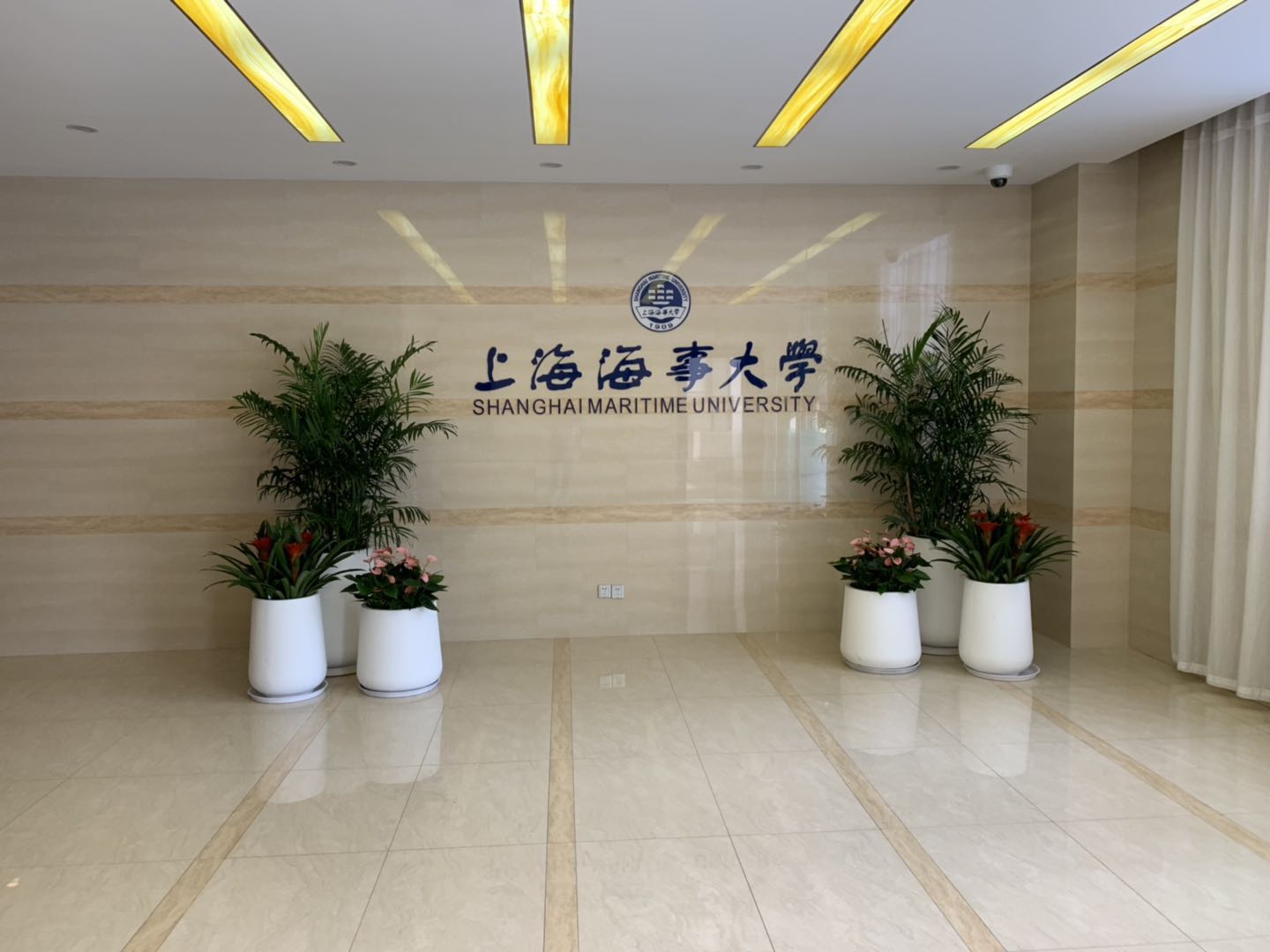 绿植组合4