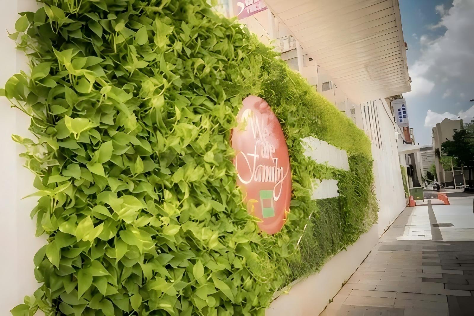 植物墙 (1)