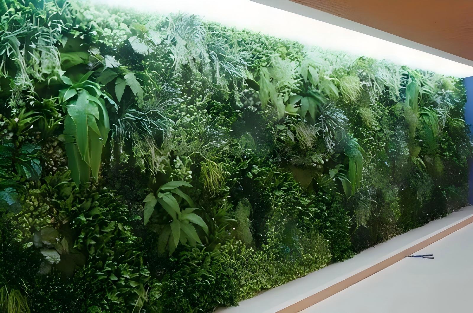 植物墙 (3)