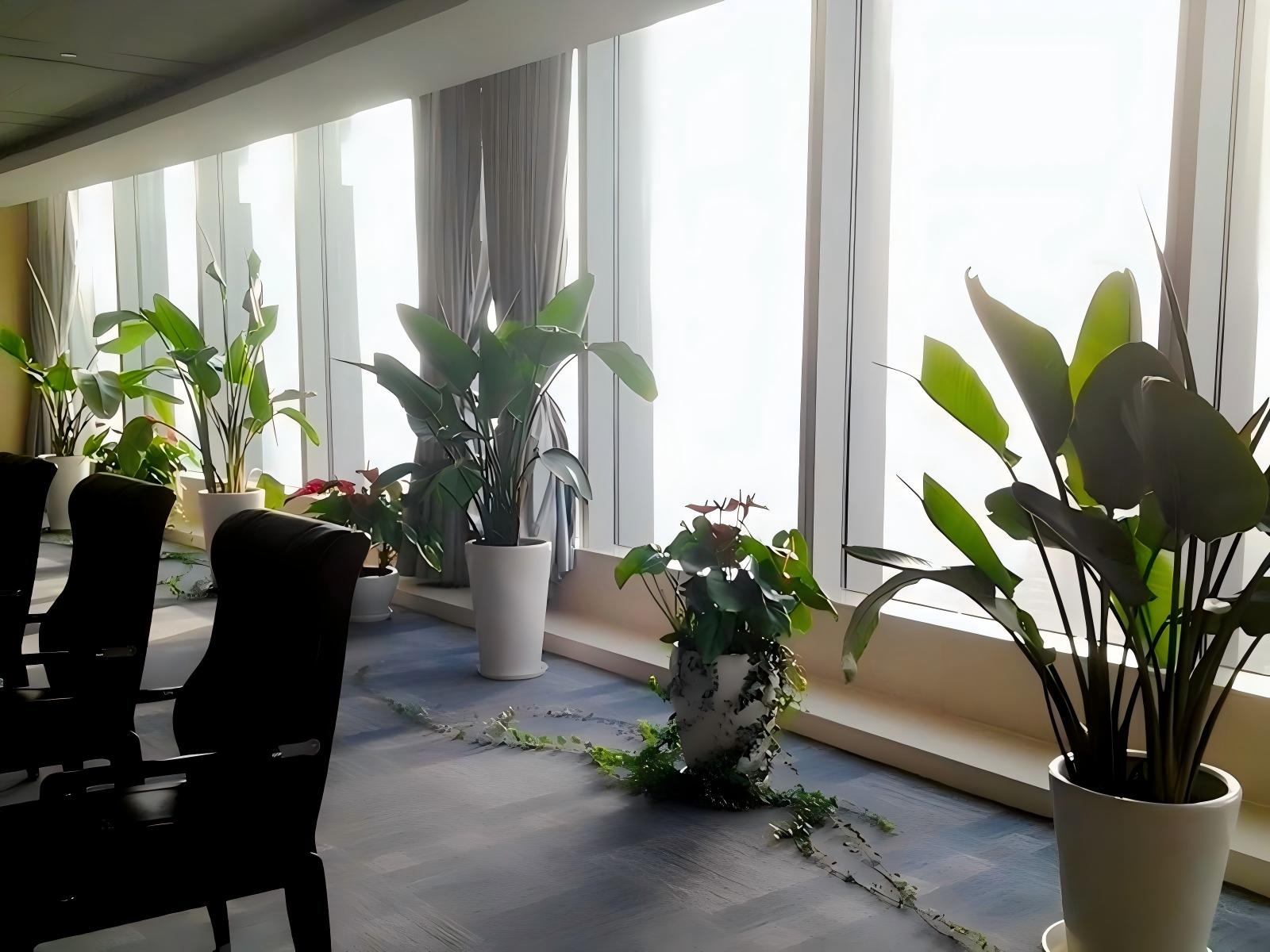 上海办公室植物租摆案例 (10)