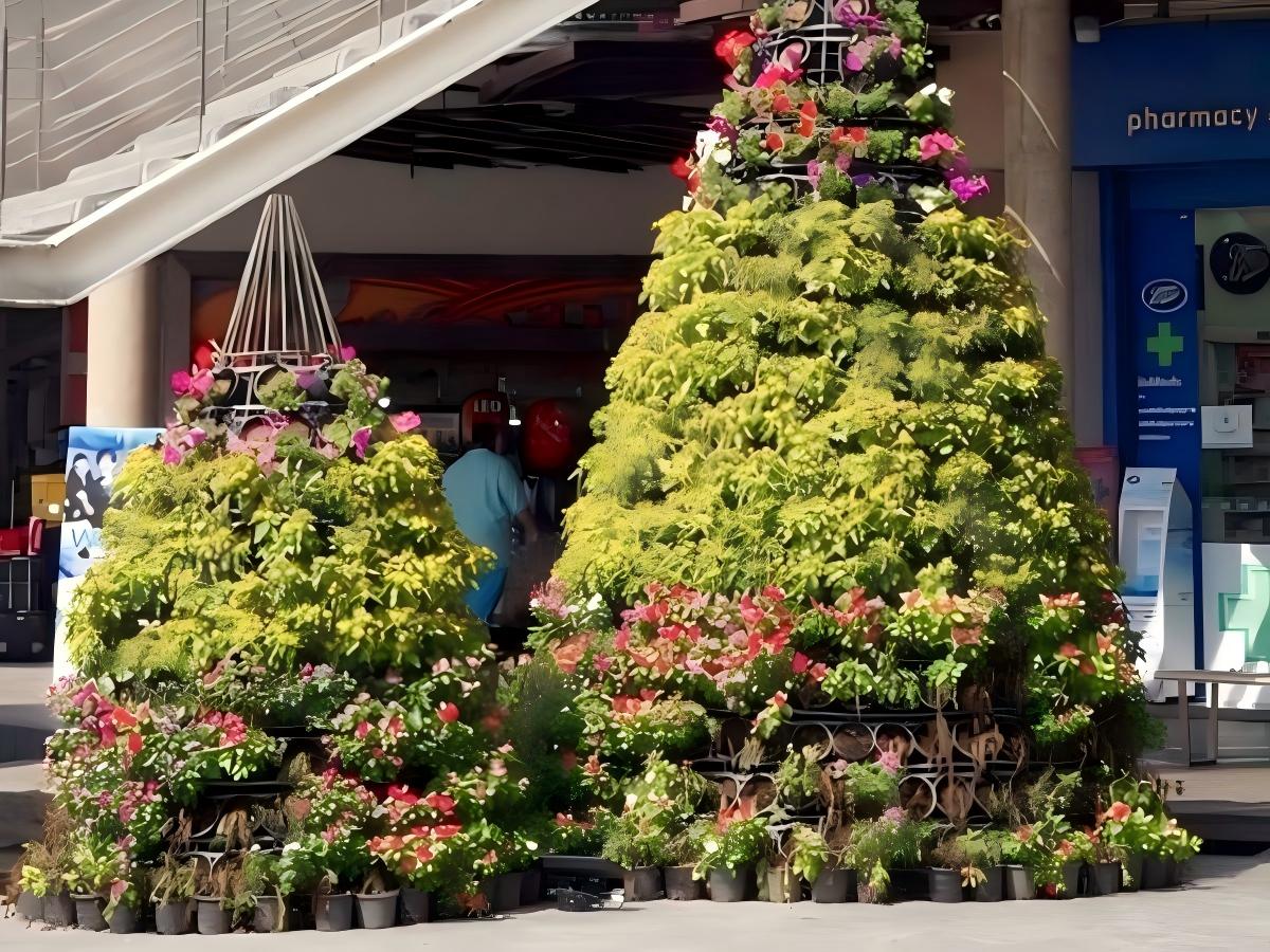上海商场植物租摆案例 (2)