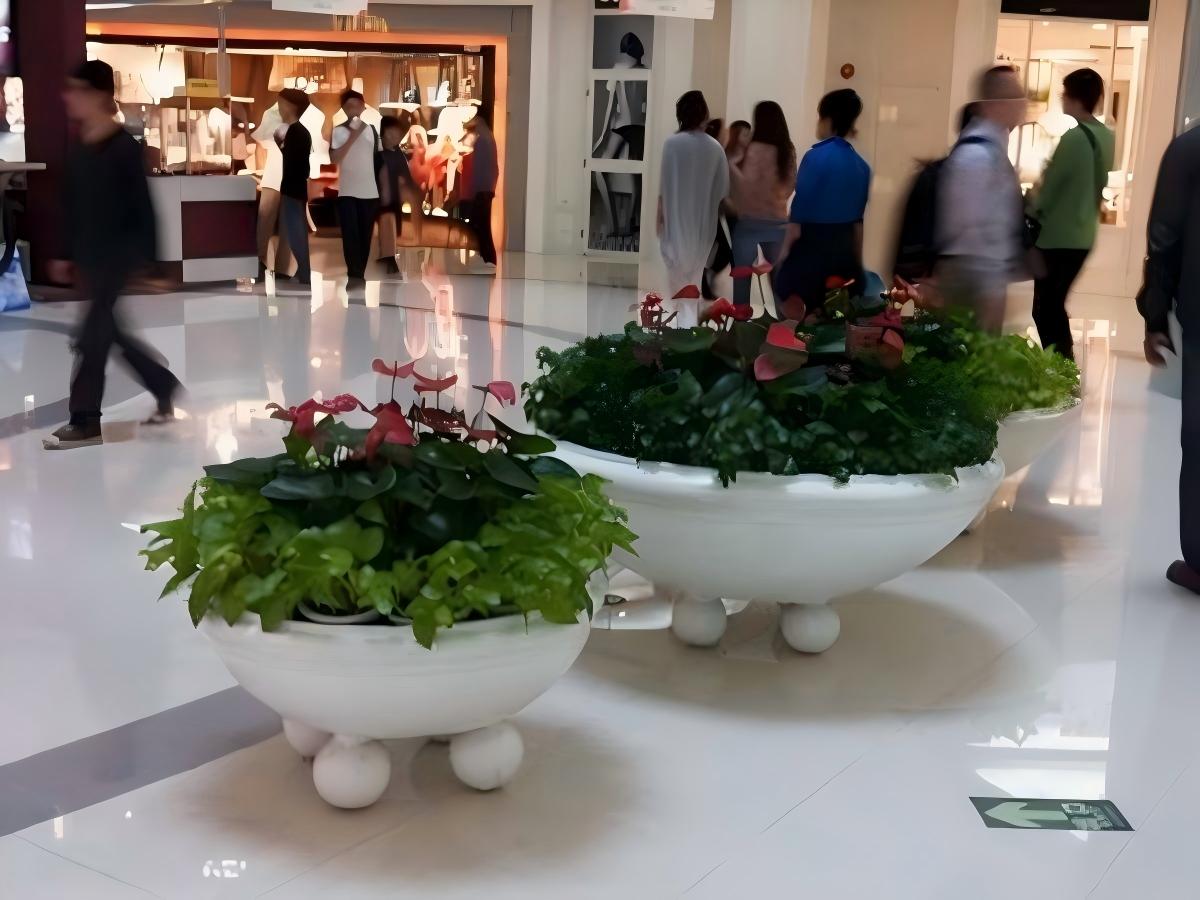 上海商场植物租摆案例 (3)