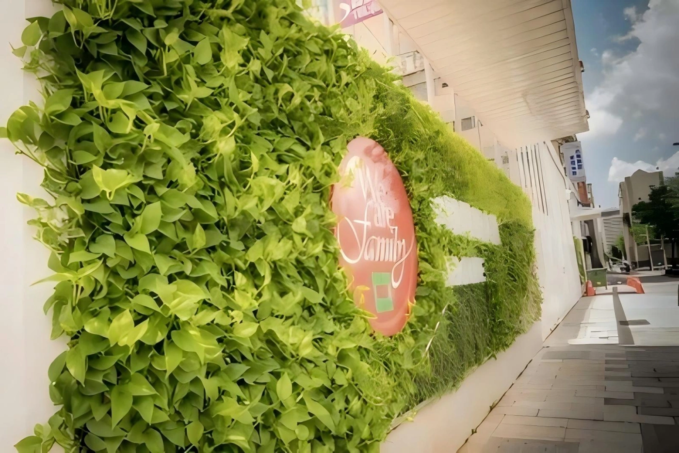 植物墙 
