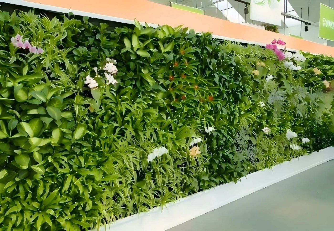 植物墙 