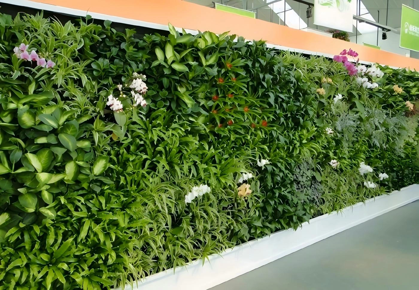 植物墙 