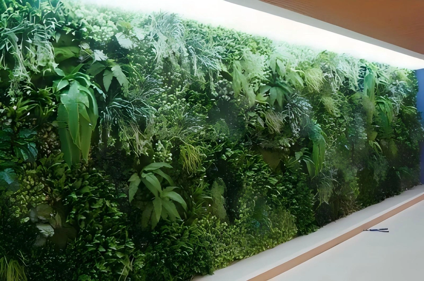 植物墙 