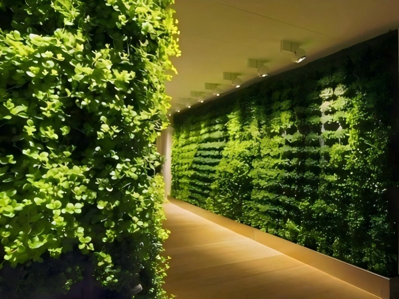 植物墙 