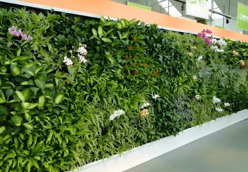 植物墙 