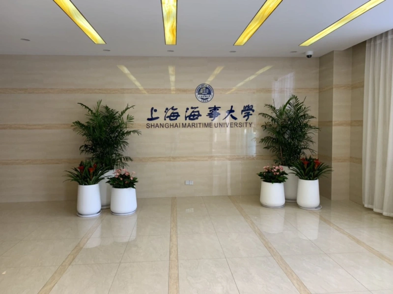 绿植组合