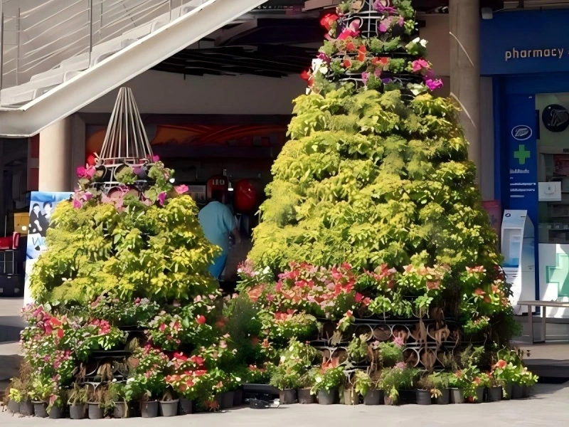 上海商场植物租摆案例 