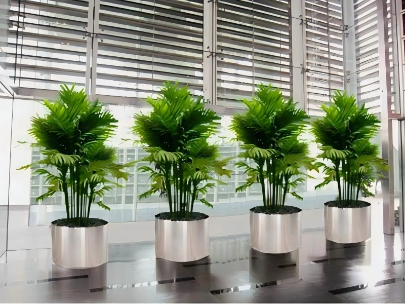 上海商场植物租摆案例 