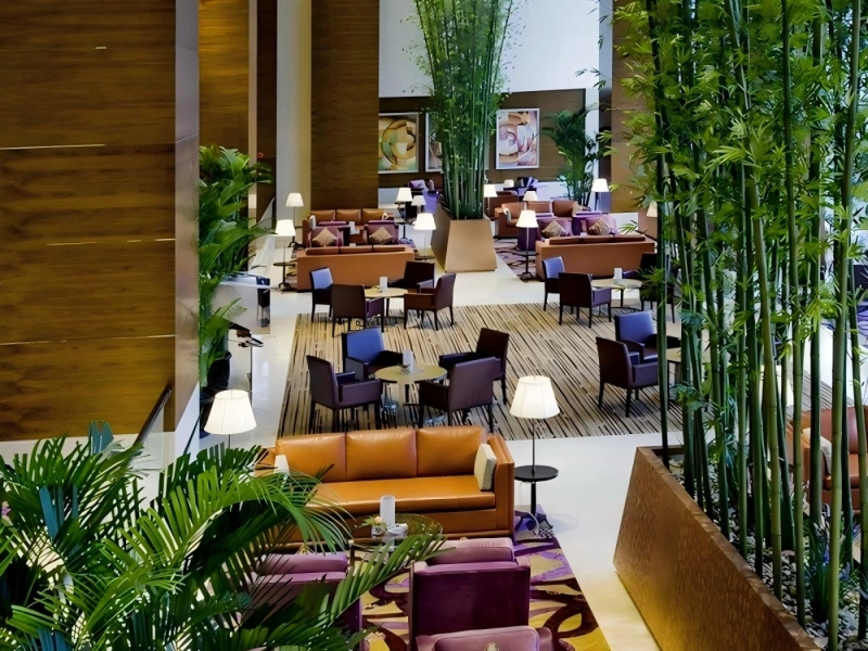 上海酒店植物租摆案例 