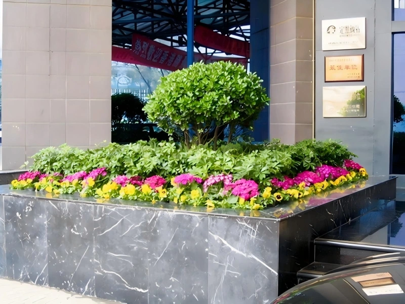 上海酒店植物租摆案例 