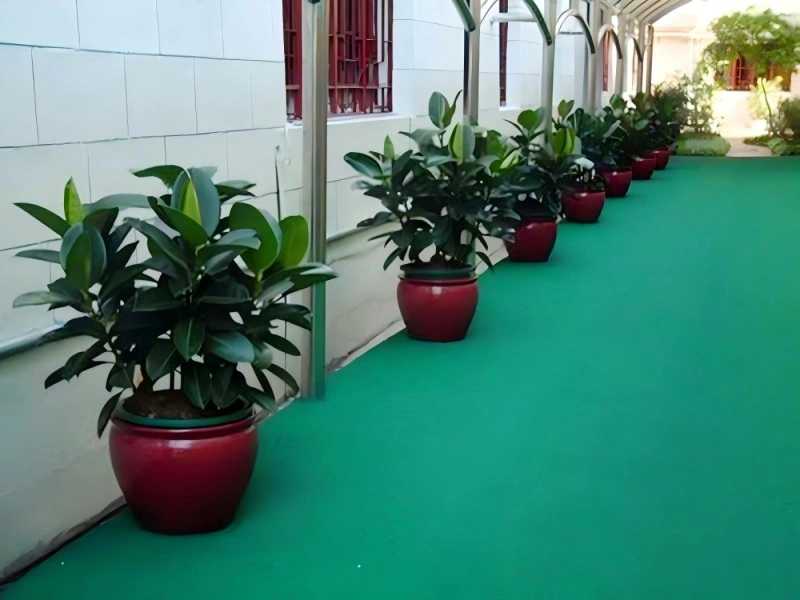 上海办公室植物租摆案例 